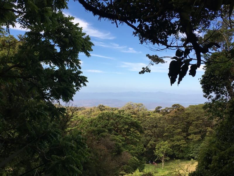 A misty stay in the Monteverde Cloud Forest