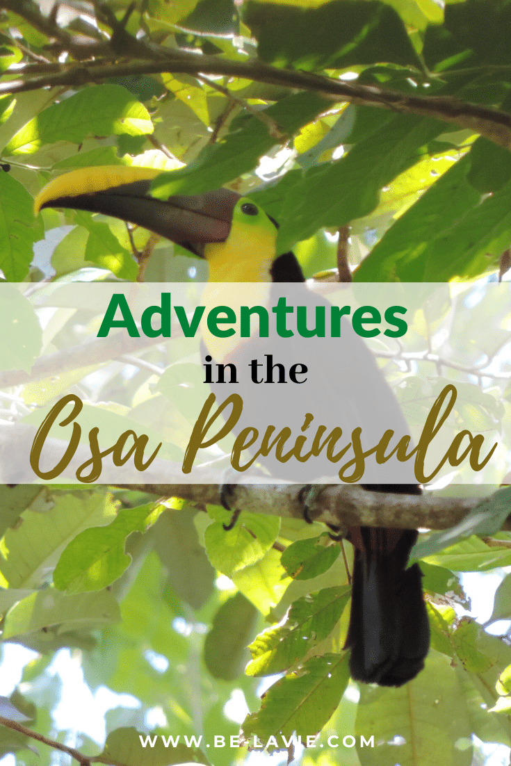 Adventures in the Osa Peninsula
