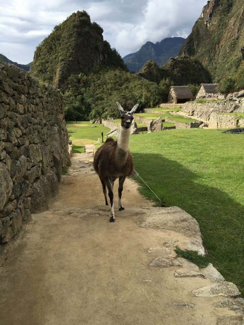 The time I spent the night at Machu Picchu with a little help from Belmond