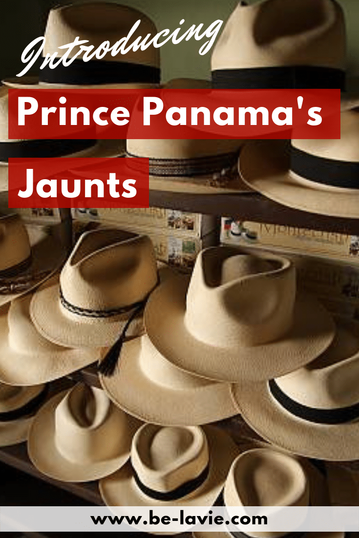 Introducing Prince Panama's Jaunts