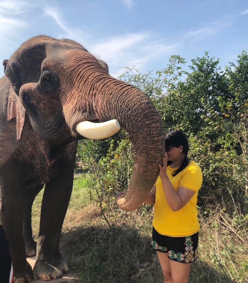 Hutsadin Elephant Foundation: The mahout Experience