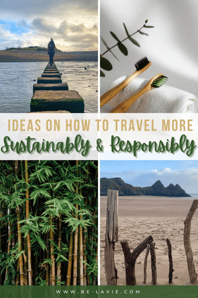 Sustainable Travel Pinterest Pin