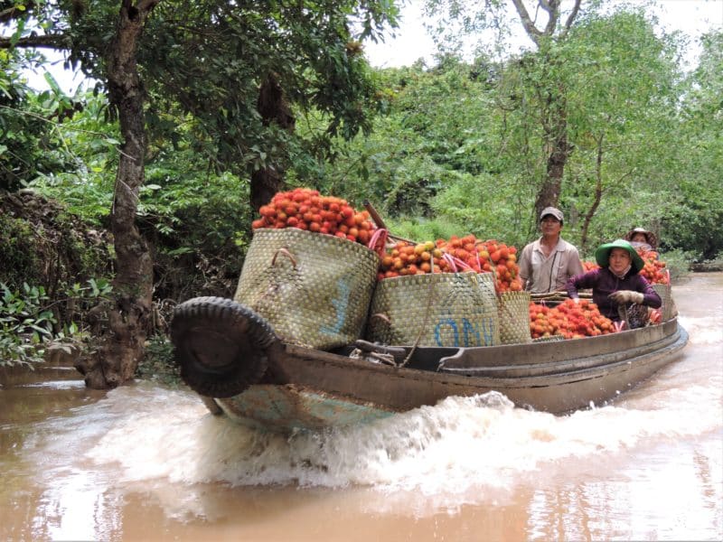 Vietnam in 14 Days: Mekong Delta Fruit