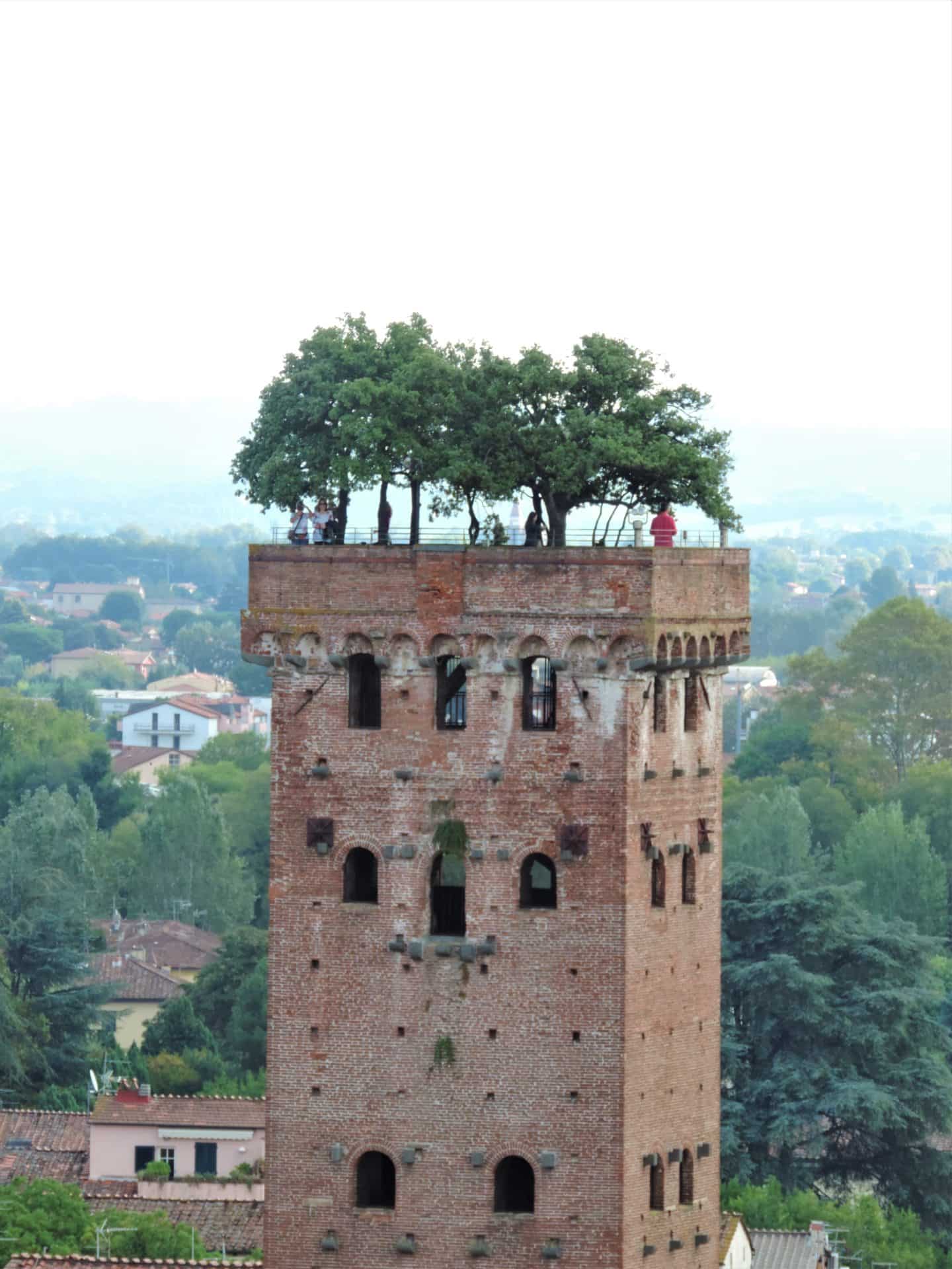  Guigini Tower with sproying trees
