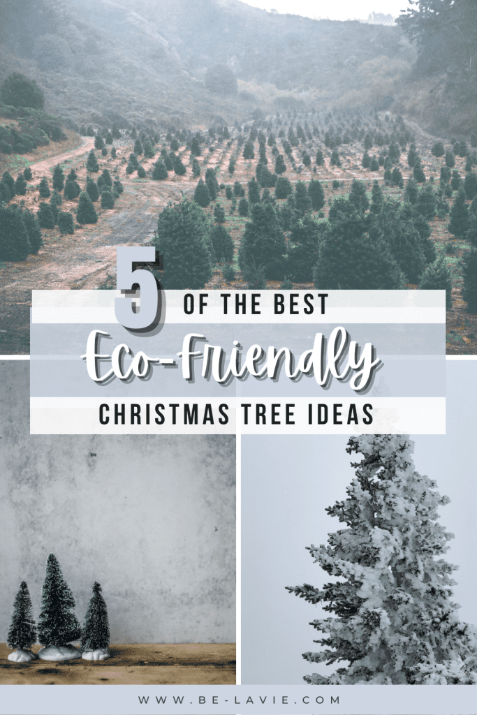 Eco-Friendly Christmas Tree Ideas Pinterest Pin