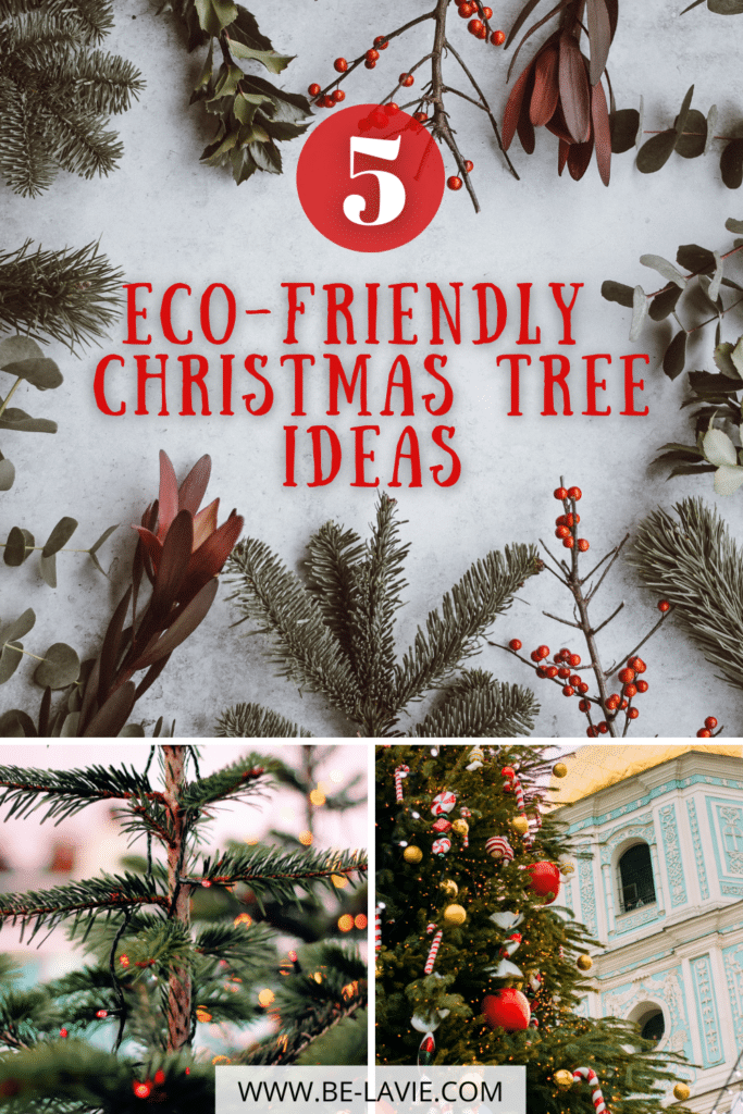5 Sustainable Christmas Tree Ideas