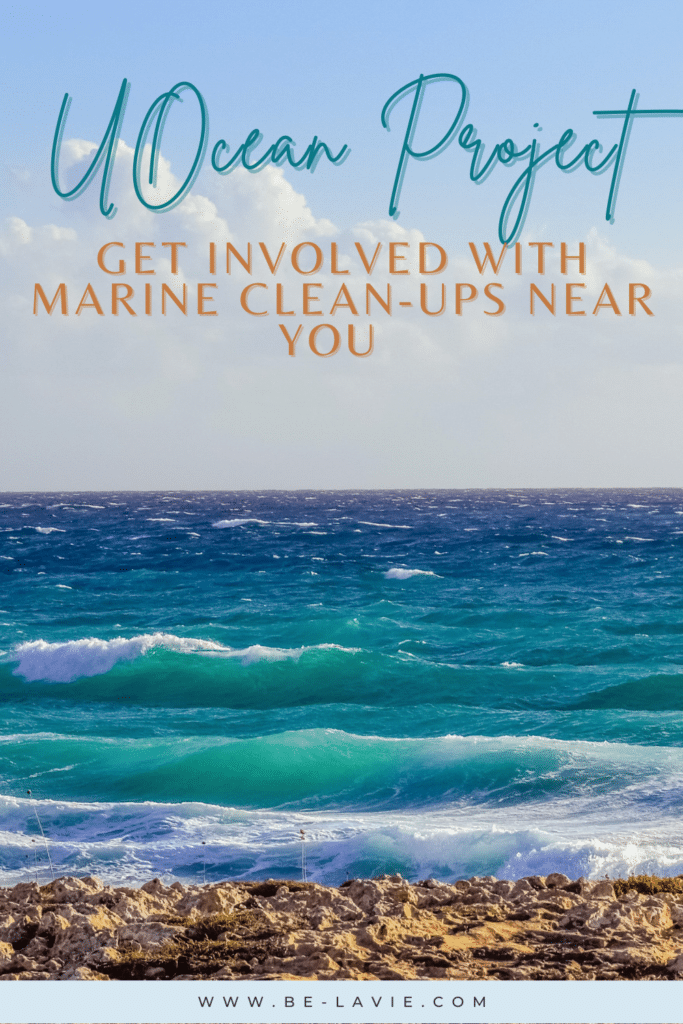 U Ocean Clean-Up