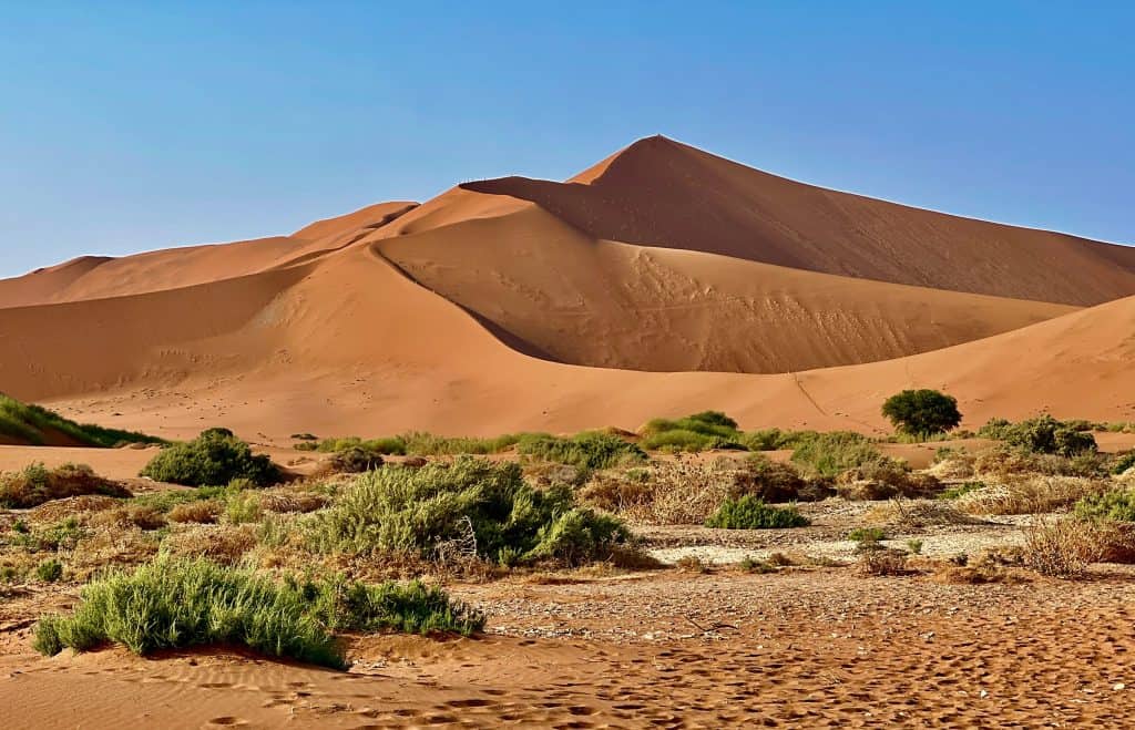 Best visit Sossusvlei: Big daddy dune from the base