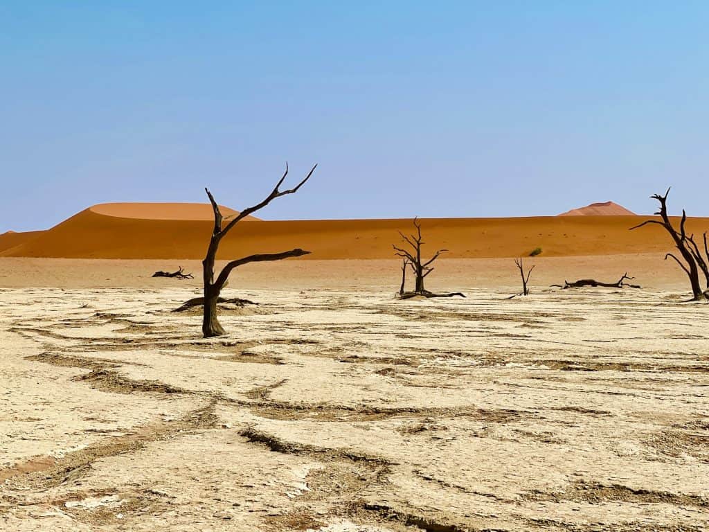 Best visit Sossusvlei: Deadvlei trees and landscape with cracked clay floor in pan
