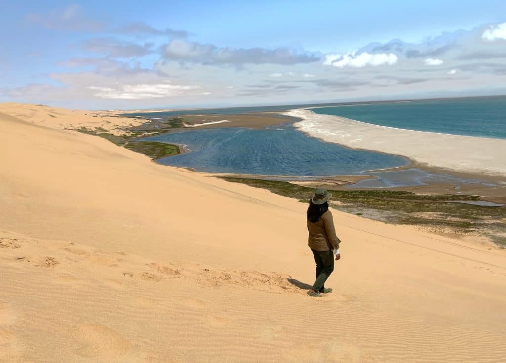 Bejal facing Atlantic ocean on sand dunes
