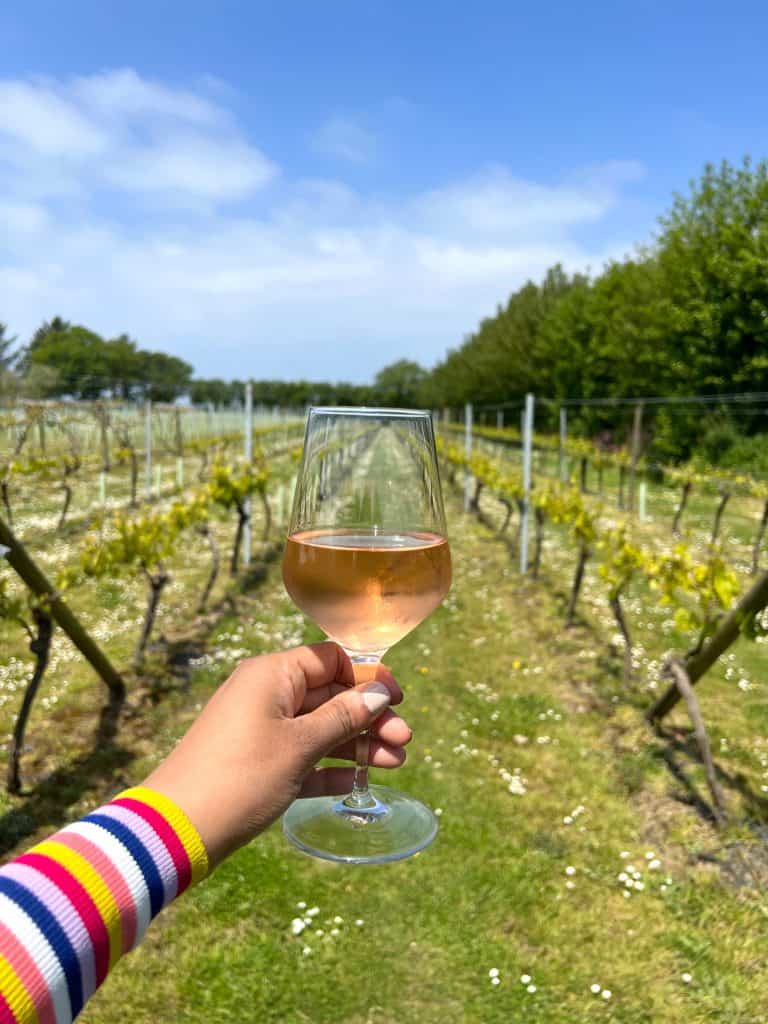Sustainable Jersey: La Mare wine estate with Rose in hand and vines
