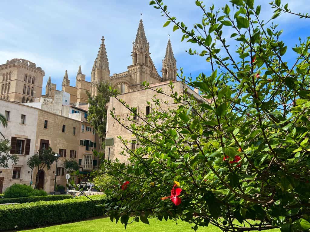 Palma de Mallorca Cathedral view from behind flower bush