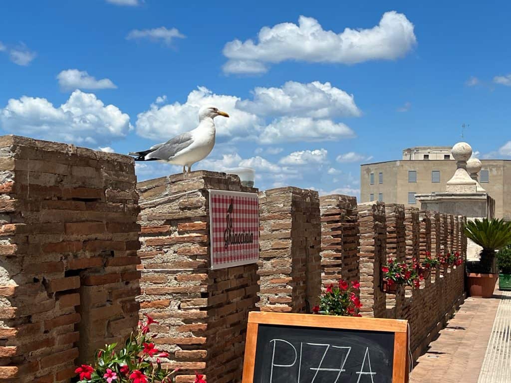 Old Defence wall with Seagull and Pizza sign