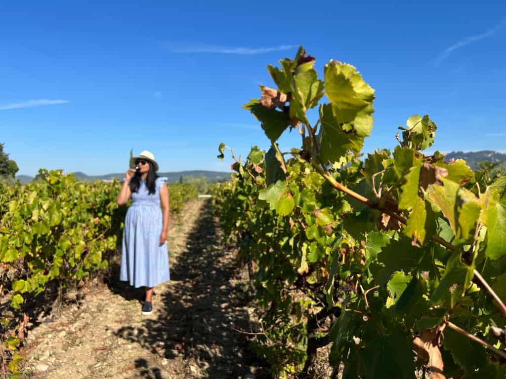 Driving itinerary through Provence: Bejal walking in Vineyard with wine
