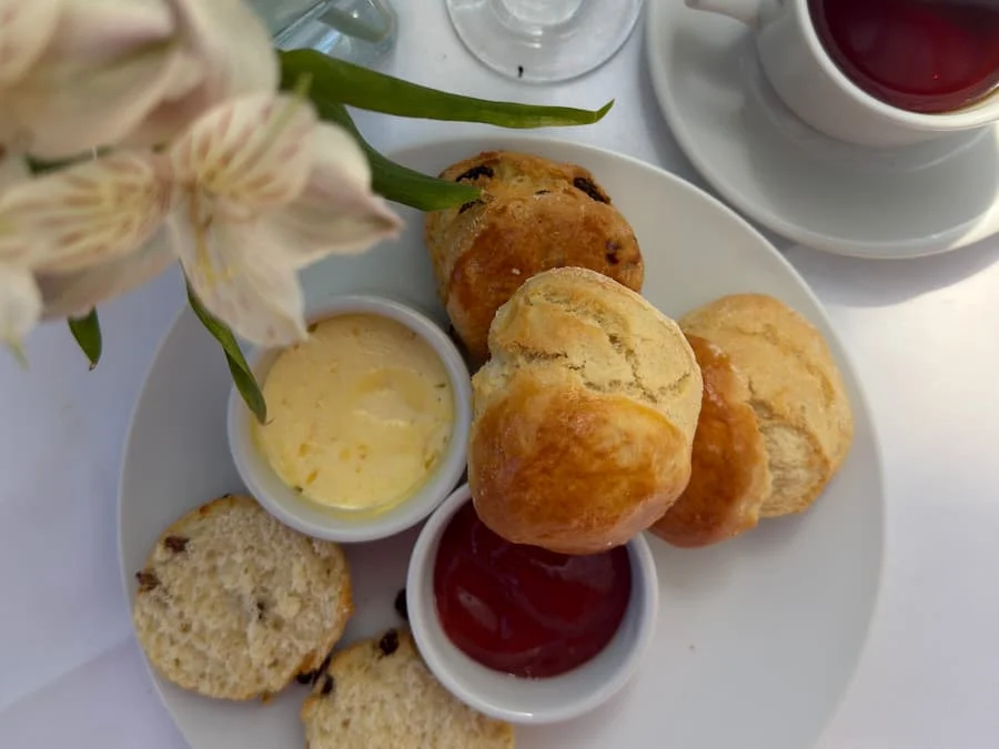 Close up of fruit and plain scones on a white plate for afternoon tea at Kilworth House, Leicestershire. There is also small ramekins of clotted cream and strawberry jam